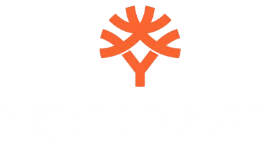 partners who work with BoaBoa